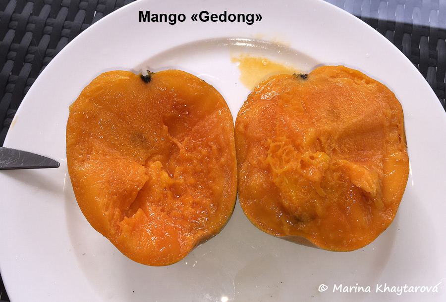 Mango 'Gedong'