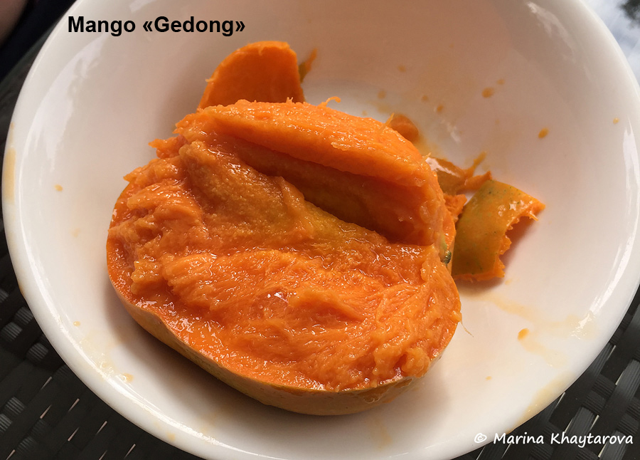 Mango 'Gedong'